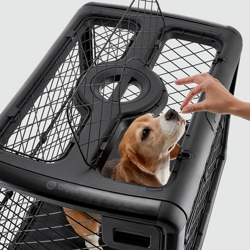 Diggs Revol Collapsible Dog Crate & Reviews Wayfair